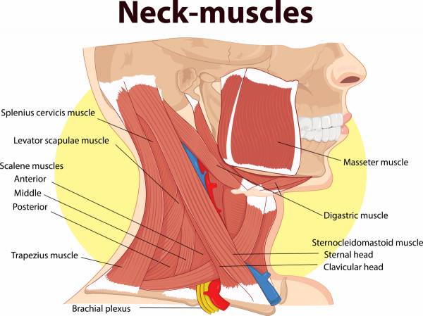 Core” strengthening for neck pain (deep cervical flexor training)